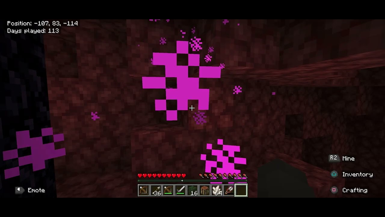 Minecraft with my brother 