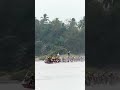 pertarungan sengit 5 piako vs kilek keramat #pacujalur2023 #fypシ゚viral