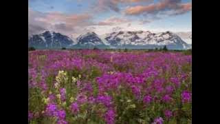 Marty Friedman Valley of Eternity   Backing Track