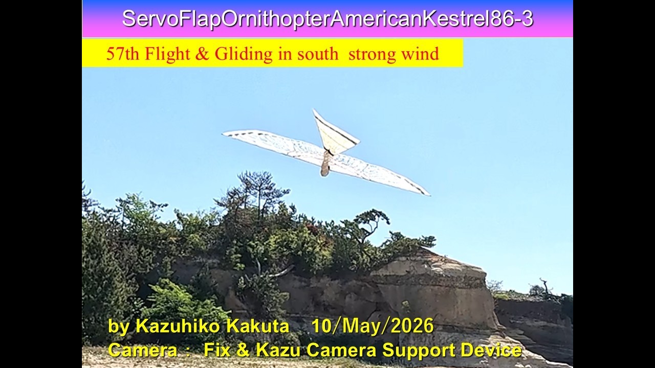 Ornithopter サーボ駆動羽ばたき機 SFOAmericanKestrel86-3 31g: 57th