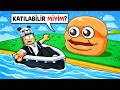 Robloxtaki EN TUHAF Tekne Yolculuğu!