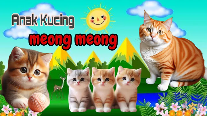 Watch the video about Funny kitten videos | ANAK KUCING MEONG funny animals videos, BABY CATS #kucinglucu #funnycats