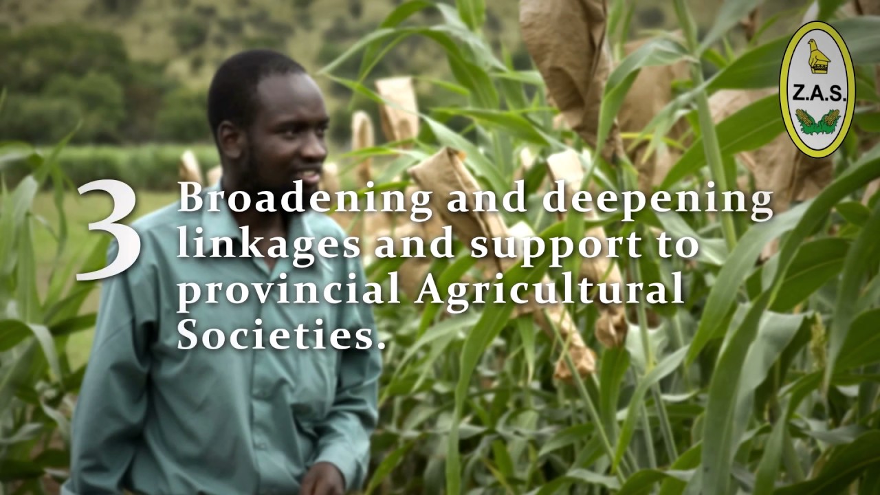 Zimbabwe Agricultural Society YouTube