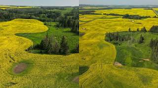 38127 Range Road 25-2 Joffre, AB T4L 2N2