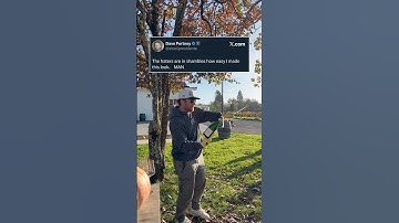 Dave Portnoy almost made this look too easy