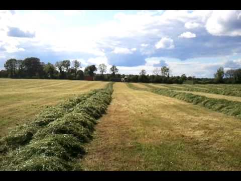 Mark Rickards At The Silage 2011 In Co.Meath Athbo...