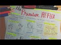 PEDIATRIC PHYSIOTHERAPY| NEWBORN REFLEXES| LECTURE 1| URDU/ HINDI #pediatricphysicaltherapy