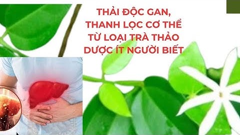 Thải độc gan, thanh lọc cơ thể từ loại trà thảo dược ít người biết | Báo Lao Động