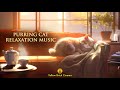 Purring Cat Relaxing Music, Relax, Stress Relief Music, Sleep Music, Study Music, Work Music