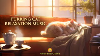 Purring Cat Relaxing Music, Relax, Stress Relief Music, Sleep Music, Study Music, Work Music