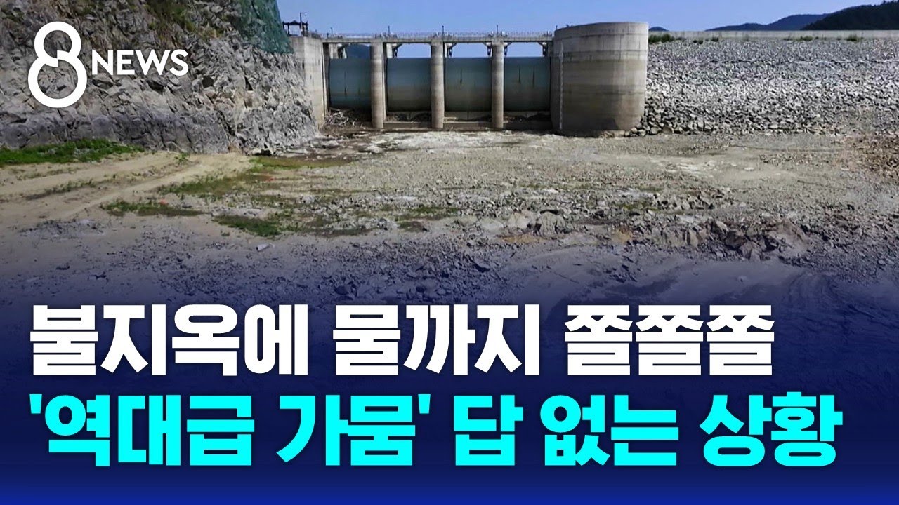 저수율 22% 역대 최저…극한 가뭄 강릉 결국 제한급수 / SBS 8뉴스