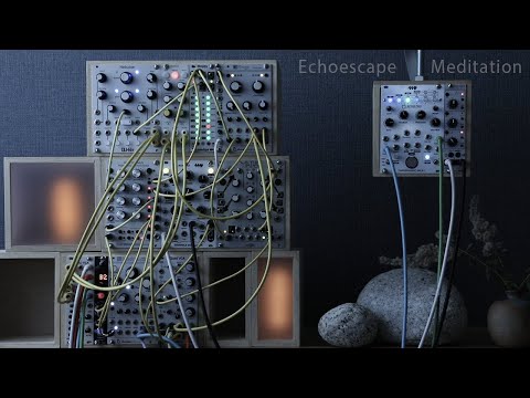 Echoescape Meditation / Rings + Echoz Ambient / Beads Tapographic Delay Mob of Emus Disting