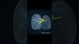 I Built a Fingerprint Scanner with Python 🔥