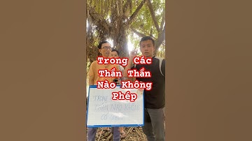 Trong Các Thần Thần Nào Không Phép #nguyenbangvlog #dovui #dovuigiaitri #shortsvideo #iq #meovat
