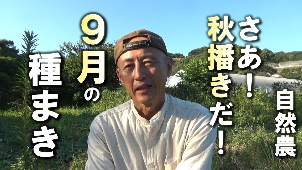 自然農】さあ！秋播きだ！9月に播ける種 2026年8月24日【natural