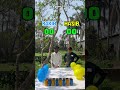 Village Ping Pong Ball Challenge 😂 Who Wins? #gamechallenge #trendingreels #fungame