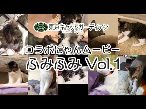 コラボにゃんムービー(ふみふみVol.1)