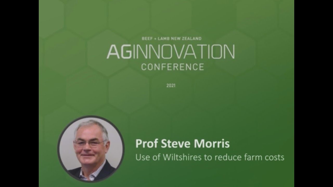 AgInnovation 2021: Use of Wiltshires to reduce farm costs – Prof Steve Morris, Massey University