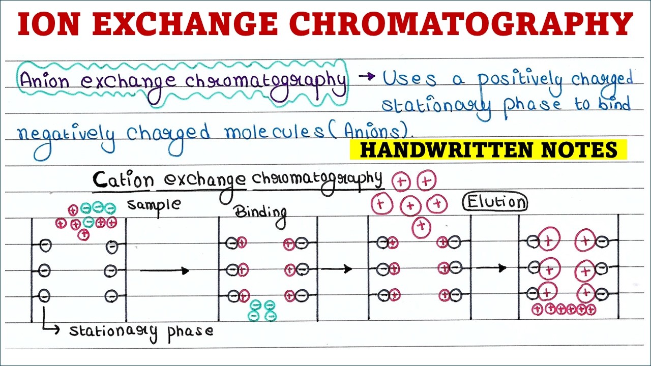 Ионообменная хроматография | L5