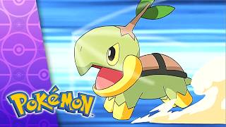 Different Strokes For Different Blokes! | POKÉMON FULL EPISODE 6 | Season 10