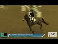 Blue Chip Show Jumping Championships - Day 2 - Blue Chip Karma Performance Championship - JUMP OFF