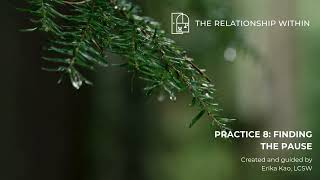 The Relationship Within -- Practice 8: Finding the Pause