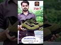 Olive Solid Safety Shoes For Men @Meesho  #shoes #MeeshoFinds #meeshoproducts #viral#trending