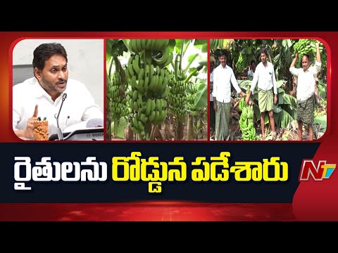 రైతులను రోడ్డున పడేశారు..! | YS Jagan Fires On AP Govt | NTV Telugu - NTVTELUGU