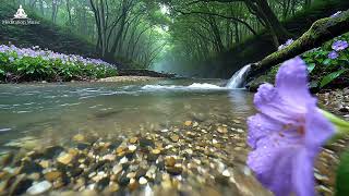 soft background music with fresh morning piano screenshot 4