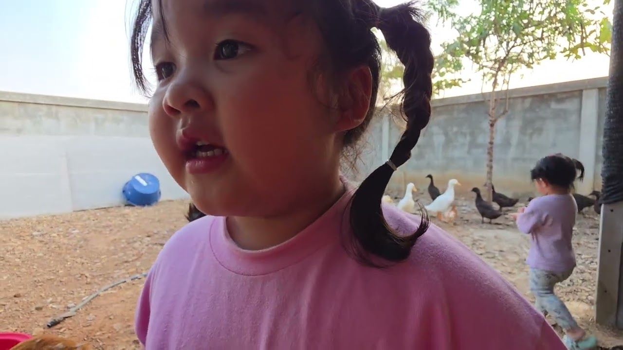 เด็กเลี้ยงไก่