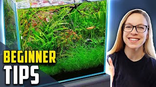 10 Easy Tricks to Making a Planted Tank Look Amazing