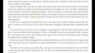 Hatchet Chapter 19 & Epilogue