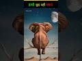 “हाथी कूद नहीं सकता...😱” | #shorts #factsinhindi #knowledge #facts