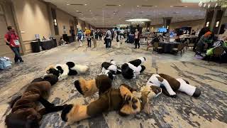 Furry horses having a roll at Texas Furry Feista 2024 as horses do! #TFF2024 #furryfiesta