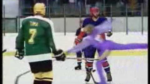 Krasobruslař vs. hokejisti
