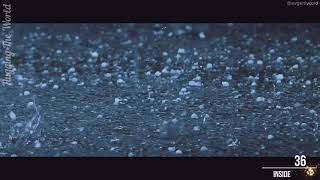 36 - Inside