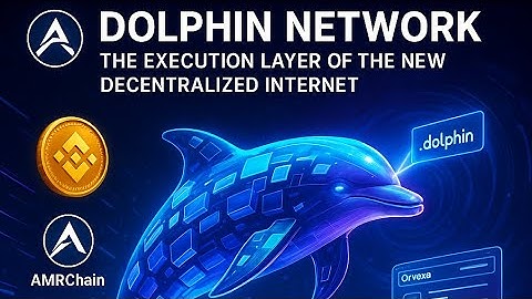 How Dolphin Network Rebuilds Web3: BNB Gas, AMR Security, Orvexa UI, DeDNS Identity