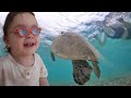 JENNY'S DREAM COME TRUE!!  Family Swims with Sea Turtles in Hawaii and we feed our new Pet Horses!