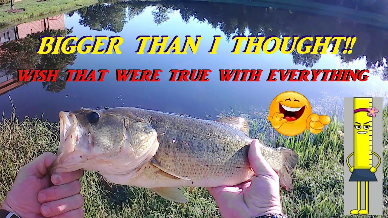 BIG BASS LOVE BUZZBAITS!!