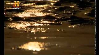 İnsan Çenesinin Evrimi - The Evolution Of The Human Jaw