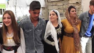Van Siirt Şirvanlıların Düğünü Hozan Sedat Kemençe Xerzani Kameraman Barış Destan 0539 411 21 48