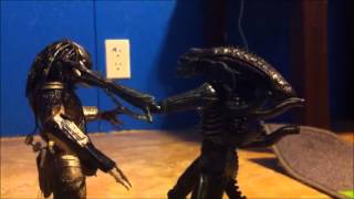 AVP stopmotion test