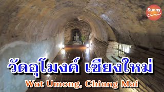 เดินชมบรรยากาศ "วัดอุโมงค์" อ.เมือง จ.เชียงใหม่ | Wat Umong, Chiang Mai | Sunny ontour