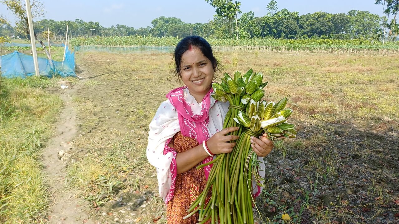 আজ কত শ্যাপলা তুললাম দেখো #youtubeshorts #viral 