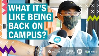 We asked Humber College students - What's it like being back