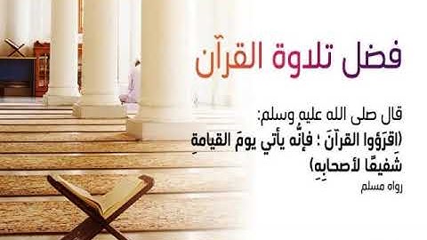 تصحيح تلاوة الشيخ وليد حسن جناحي - حفظه الله -