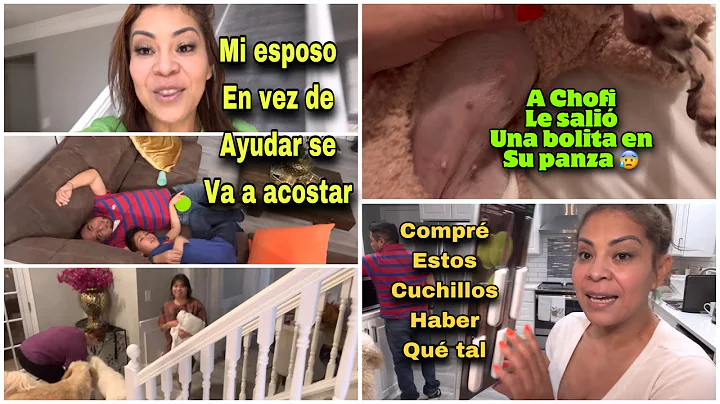 Chofi tiene una bolita en su panza y no se por que...