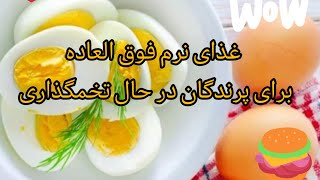 غذای نرم تخم مرغی برای پرندگان (قناری، عروس هلندی، فنچ و..) درحال تخمگذاری.