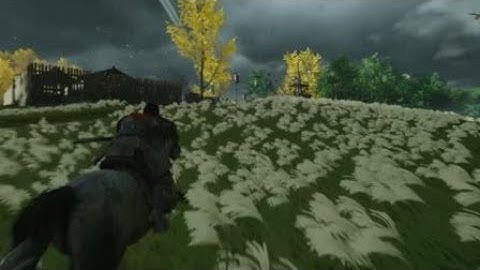 Guiding Wind (Ghost of Tsushima)