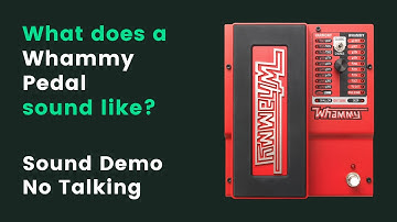 What does a Whammy Pedal sound like? | Sound Demo (No Talking)